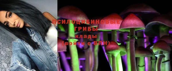 соль ск Белоозёрский