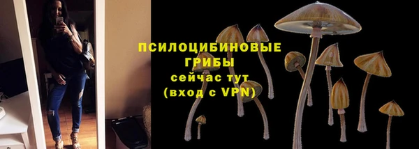 гашиш Белокуриха