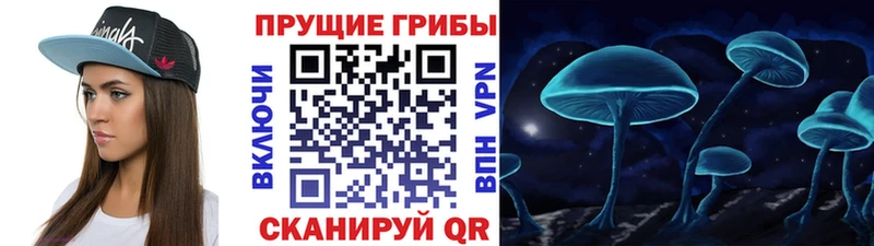 hydra как зайти  Краснозаводск  Галлюциногенные грибы Magic Shrooms 
