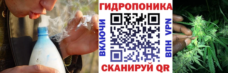 Шишки марихуана планчик  Краснозаводск 